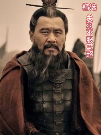 马超被封五虎上将关羽不服 诸葛瑾奉命讨要荆州 #抖音二创激励计划 #新三国 #历史剧解说