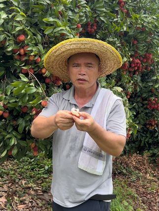 表哥表妹别划走进来看看我们家的仙进奉#仙进奉荔枝 #优质农产品 #新鲜采摘 #荔枝 #搞笑