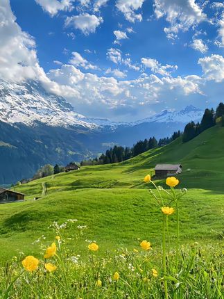 #强烈推荐 #爱了爱了 #显白娃娃裙