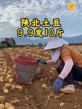 农村人忙碌的一天