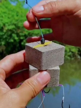 这是白鲨鲢:/ 鳙方块饵海竿抛竿鱼饵草莓酸臭味酸甜米酒窝料翻板钩专用饵#浮钓鲢鳙#好物分享#好东西#好物