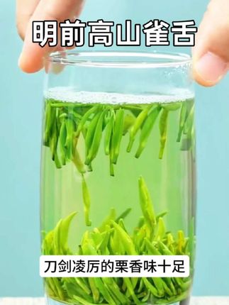 #您一定没喝过#雀舌 #新茶上市 #茶叶 #召唤茶友
