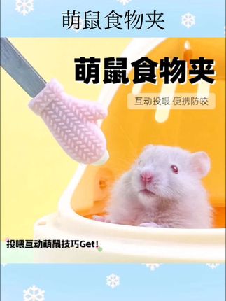 萌鼠食物夹#萌鼠食物夹 #宠物用品 #养鼠必备 #分享好物 #仓鼠食物夹