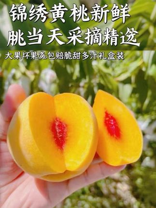 这个锦绣黄桃真的绝了!个头超大一个 包装超精致,每一颗都是独立套袋 完全不用担心磕碰#水果推荐 #应季水果 #黄桃 #美食分享 #吃货日常