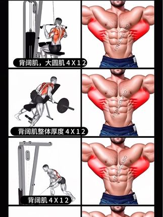 背部训练,自己瞎练一年不如学后练一个月,健身少走弯路效果翻倍#背部训练 #居家锻炼 #健身教学 #背阔肌 #练背