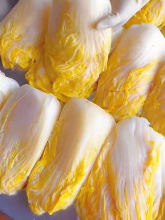 东北大缸酸菜拍一发6袋6斤 #东北特色美食#酸菜
