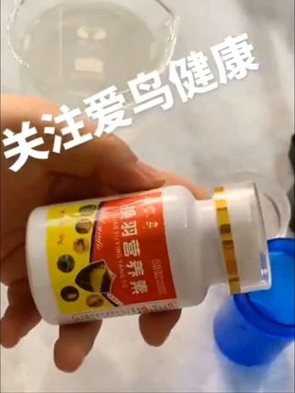 #鹦鹉🦜 #丝雀#玉鸟,适用于所有鸟类