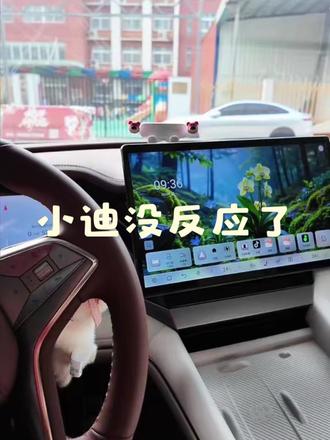 一年时间到期了,你的小迪还理你吗?#比亚迪#比亚迪夏#汽车知识 #每天一个用车知识 #用车知识