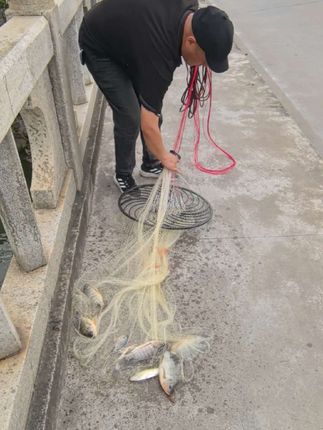 新一代飞盘撒网!