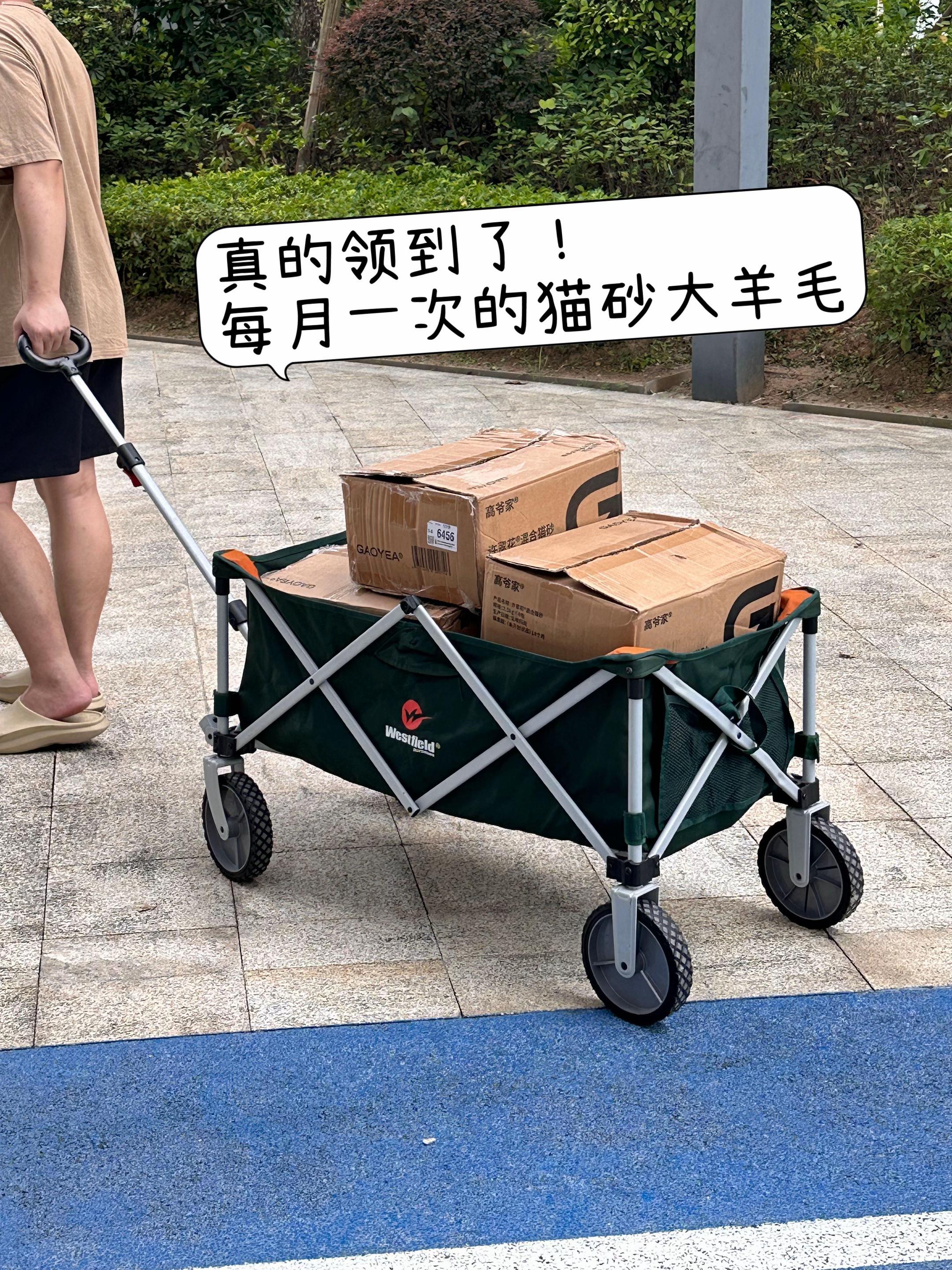 终于薅到许翠花大羊毛!到限1单#许翠花猫砂 #新手养猫