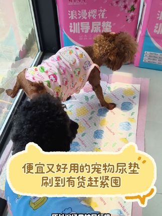 好用又便宜的宠物尿垫,这款尿垫动不动就卖不了了,就因为卖的便宜又好用,经常被同行搞,刷到有库存就赶紧给家里小毛孩囤两包,相信用完你一定还会回购加一款尿垫#宠物尿垫#萌宠好物#狗狗训导尿垫 #科学养宠攻略 #宠物尿垫