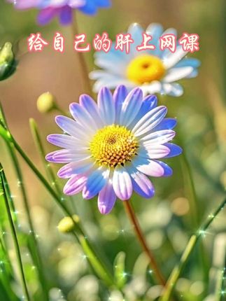 黄帝内经:五音入五脏,角音养肝,太疗愈了~ 睡不好,爱生气的姐妹,快收藏起来👍#角音#黄帝内经#养肝音乐#冥想 #解压