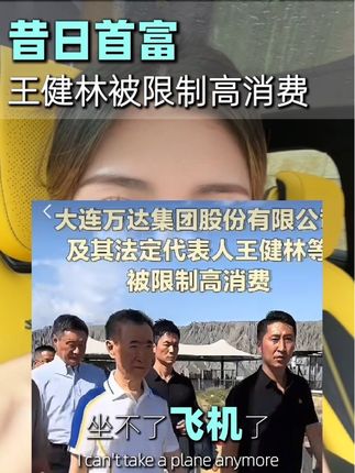 王健林被限制高消费~昔日地产大佬当初多辉煌 现在就有多落寞,反观现在海南卖得好的楼盘都是哪些?#海南房产 #内容过于真实 #海南笑笑探房