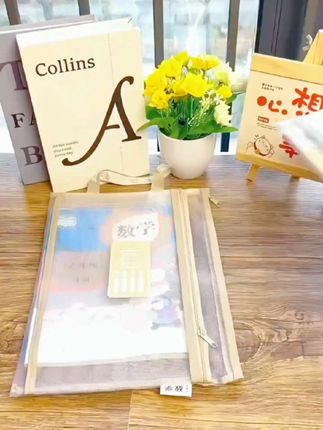 开学必备学生手提科目文件袋加厚大容量拉链式网纱作业试卷收纳袋