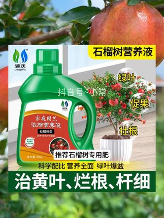 想要养好石榴树。施肥不可少。推荐这款#石榴树营养液 #石榴树种植 #石榴树 #养护小知识 #农资肥料