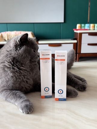 猫咪可以一个月不洗澡,但每周清理耳朵可不能少,不然得了耳螨就要后悔了#新手养猫 #萌宠好物 #科学养宠攻略#宠物滴耳液