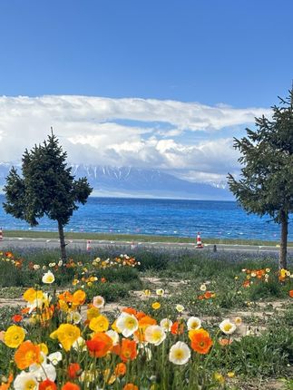 #张予曦毕雯珺真拍了红裙抱#深情眼 #张予曦 #毕雯珺