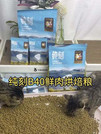 纯刻新品都卷到这个价了,没必要买别的杂牌了吧#纯刻#纯刻B40#猫粮