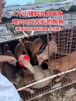 适当给狗狗补充各种微量元素,猪牛羊鸡鸭鹅通用。#三农养殖 #养狗经验分享 #自用好物分享 #钙磷十八补