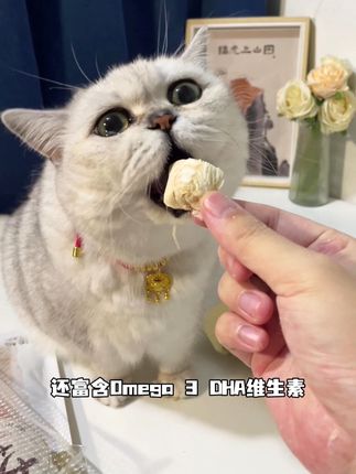 之前一个就要19块9,现在地狱厨房大破价5包更划算#地狱厨房鳕鱼冻干 #猫咪零食 #猫咪磨牙零食 #抖in萌宠计划