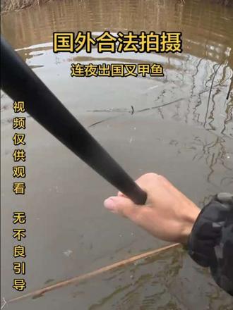 国外合法拍摄 无不良引导 若引人不适 请划走