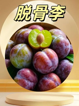 脆李季节来啦,红的发紫,脆甜多汁脆红李又叫红脆李,脱骨离心,脆口轻盈的口感, 甜蜜有加,微微可以忽略的酸,很开胃,可以说是这个季节最好吃的李子!喜欢吃李子的宝子们不要错过哦#新鲜水果#脆红李#水果#脱骨李#李子@DOU+上热门 @抖加🔥上热门🔥dou+🔥热点宝 @DOU+小助手
