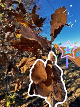 视频链接,下单立减20元,加赠两支一克旅行装,在加赠蒸汽眼罩。保证美国正品医疗版疤克,官方旗舰店下单。#疤克去疤膏 #疤痕增生 #祛疤膏 #芭克 #好物推荐🔥