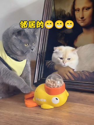 又发现了一个好玩的小猫玩具!这个小黄鸭可以塞进去小猫爱吃的冻干,小猫无聊的时候可以自嗨解闷,还能消耗精力~快给你家猫安排上!#家有萌宠 #宠物 #自嗨模式开启 #喂食器