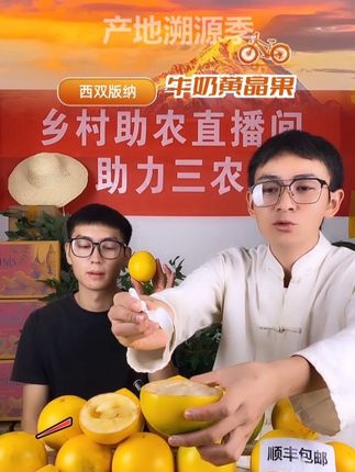 西双版纳优稀水果 淡淡奶香甜而不腻#助农水果 #助农行动 #热带水果 #水果搬运工 #黄晶果