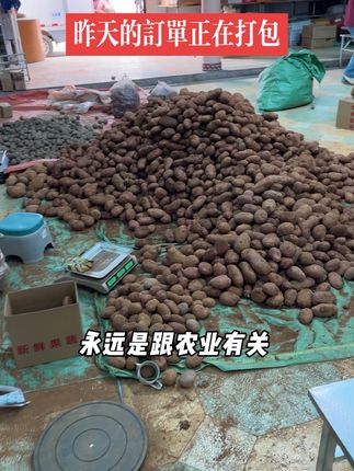 云南红皮黄心新土豆 #优质农产品 #土豆 #农村生活 #农产品 #三农