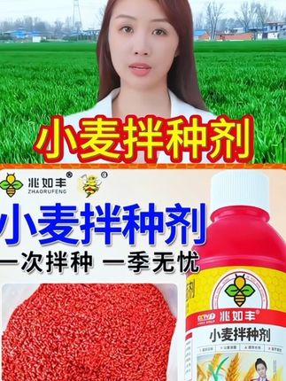 种小麦之前重要的一步就是拌种,小麦想要高产,这一步不能少 #小麦拌种剂#小麦专用#小麦高产配方 #提高发芽率 #杀虫剂 生根壮苗