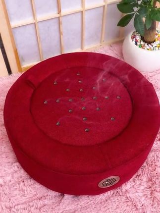 #创作灵感 建议大家都去坐灸,想灸哪里灸哪里,每天灸一灸非常舒服,简直就是回春神器#女生必看#艾灸蒲团坐垫  #艾灸#好气色