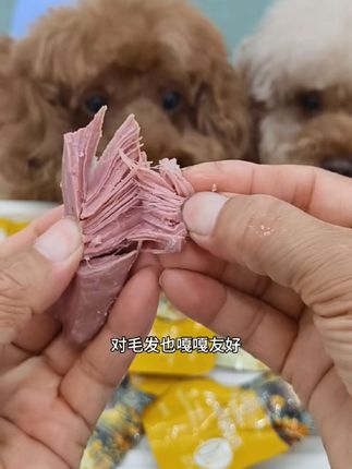 这个鱼油鸭胸肉太适合夏天给毛孩子吃啦,不仅清凉下火缓解泪痕,对毛发也嘎嘎友好#萌宠好物 #鱼油鸭胸肉 #新手养狗