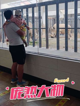 动物园里有什么大犀牛🦏喔喔喔!喔喔!好大两只#陪孩子一起长大 #纪录美好生活 #和宝宝一起看世界 神奇的世界,无奇不有