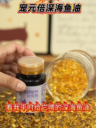 #萌宠出道计划 #深海鱼油#宠物知识 #萌宠推荐官