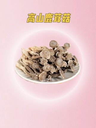#鹿茸菇 你们吃过吗?拿来炒五花肉,煲汤,脆脆爽爽的,非常好吃!大人孩子都喜欢#家常菜 #美食分享# 美食教程#农村美食