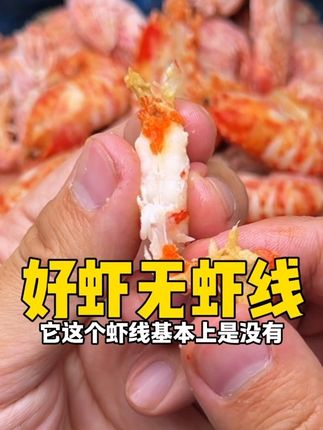 从北极深海到您家餐桌,俄罗斯火龙虾带着满满的诚意而来。熟冻保鲜,肉质紧实,化冻即食,快来尝鲜吧!#美食 #火龙虾 #小龙虾 #刺身 #北极虾