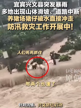 宜宾兴文县突发暴雨 多地出现山体滑坡、道路中断 养猪场猪仔被水直接冲走 防汛救灾工作开展中!云南昭通威信,遭遇特大暴雨来袭,损失可想而知#云南昭通 #好书分享#内涝 #自然灾害 平安 #中国的规矩