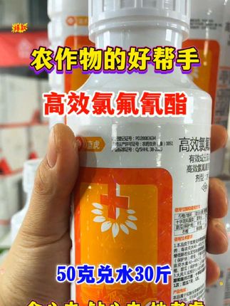 高效氯氟氰菊酯#sha虫剂#高效氯氟氰菊酯#助农优品#农作物种植#老百姓关心的话题