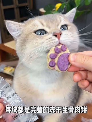 猫抓饼零食来啦!  爪爪一扒拉,酥香直冒尖~ 咔嚓咬一口,鲜得尾巴翘~ 小嘴巴吧唧香,吃完还想扒拉两下~#萌宠出道计划 #吃货猫 #猫咪 #养宠人的治愈谁懂啊 #好物推荐🔥