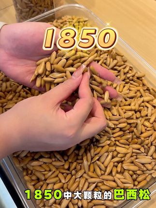 这个就是松子界的老大哥,巴西手剥松子。现在正在直播快来看看吧!#巴西松子 #坚果零食推荐 #源头好货