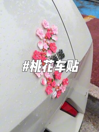 谁能拒绝 来自海鸥车主的浪漫呢!贴在哪都特别好看的3D立体桃花车贴,快让你的象给你买……#车尾车贴 #汽车装饰品 #桃花车贴 #女生的车 #车贴拉花