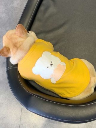 天气暖和了,你们都给小狗安排春款衣服了吗?这件德绒小背心面料软乎乎的,贴身穿很舒服#萌宠 #养狗分享 #宠物萌宠 #宠物  #我和我的狗