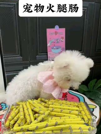 佩妮家的新品火腿肠39.9元一百根,也太划算了吧#萌宠好物 #宠物新品火腿肠
