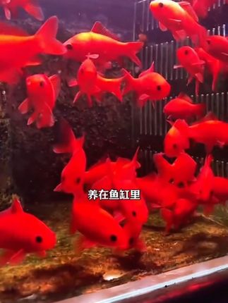 不要和妈妈顶嘴,没有妈妈哪来的家 #家长教育 #妈妈的世界很小里面装满了你 #家庭教育 #正确引导教育孩子陪伴孩子 #育儿教育