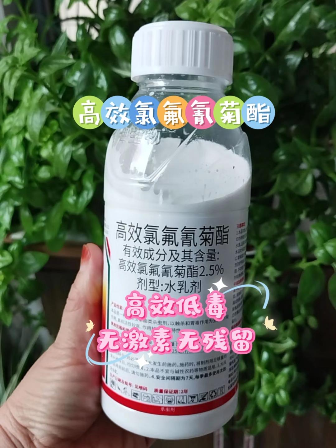 高效氯氟氰菊酯,杀虫广谱,速效性好,#病虫害防治 #杀虫剂 #三农种植 #农业种植 #农药