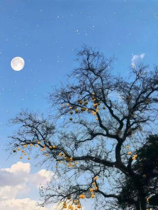 #杜克和一哥#杜克环游世界#孟加拉的故事#交换世界计划