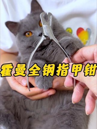 家里给猫咪剪指甲总反抗,还老劈叉的,就可以试试霍曼的全钢指甲剪#宠物指甲剪#霍曼#萌宠好物#猫咪指甲剪