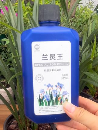 #兰花 #兰花养护 #养花小知识 #家庭园艺 #种植小技巧
