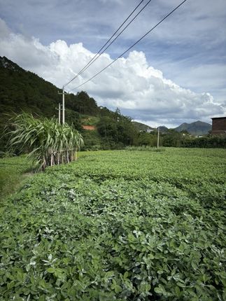 #张予曦毕雯珺真拍了红裙抱#深情眼#毕雯珺#张予曦